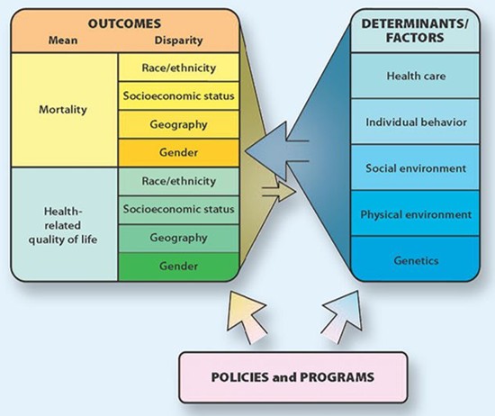 infograph image
